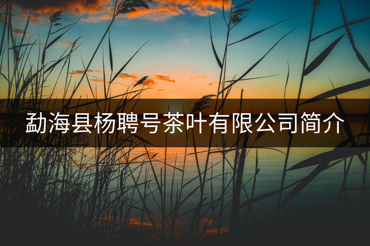 勐?？h楊聘號茶葉有限公司簡介