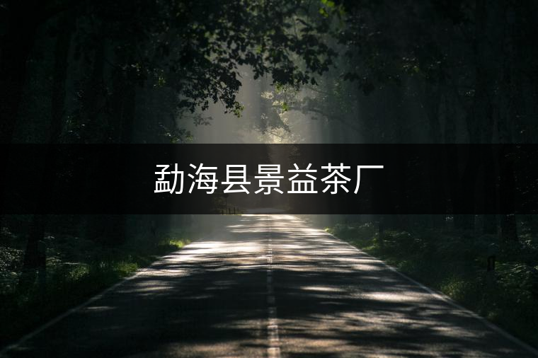 勐?？h景益茶廠