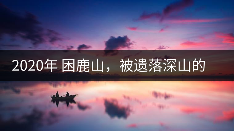2020年 困鹿山，被遺落深山的皇家古茶園-易武中聘號(hào)