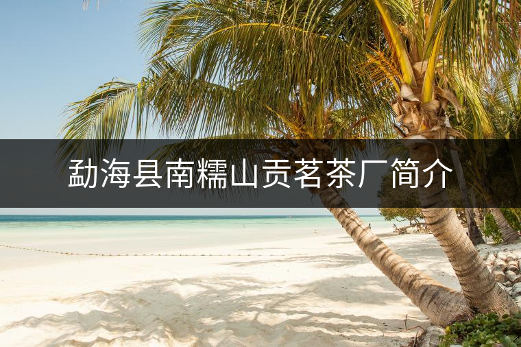 勐?？h南糯山貢茗茶廠簡(jiǎn)介