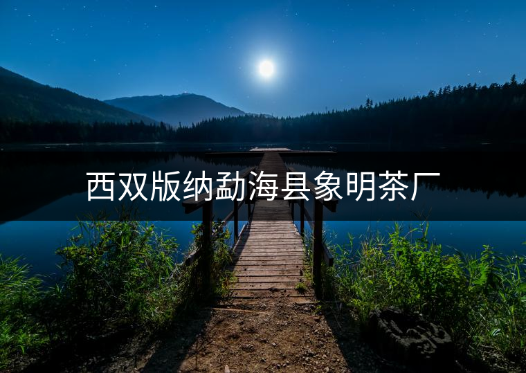 西雙版納勐?？h象明茶廠