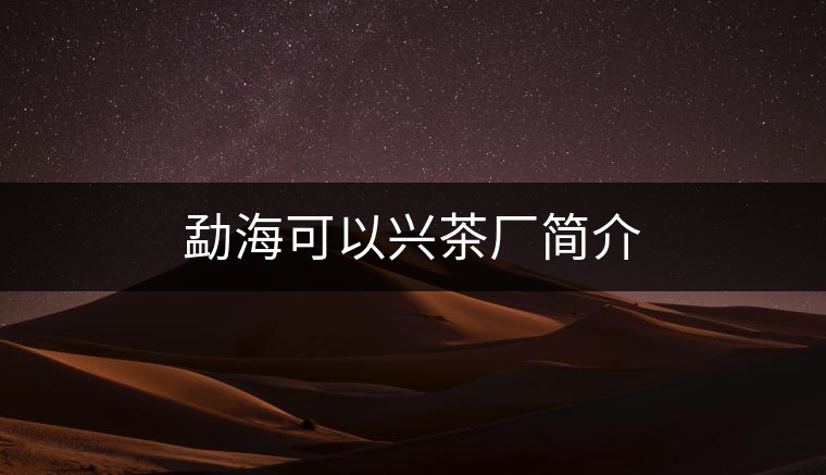 勐?？梢耘d茶廠簡介