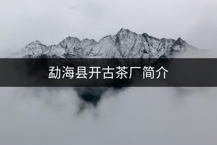 勐海縣開古茶廠簡(jiǎn)介 勐海縣開古茶廠簡(jiǎn)介
