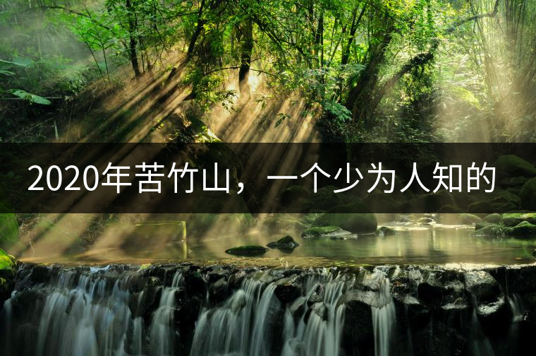 2020年苦竹山，一個(gè)少為人知的后起之秀！-易武中聘號(hào)