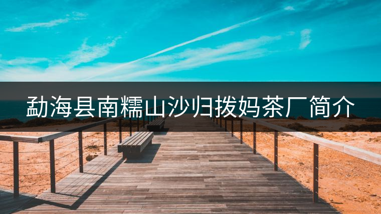 勐?？h南糯山沙歸撥媽茶廠簡介