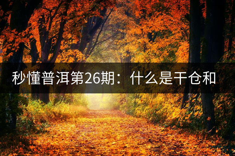 秒懂普洱第26期：什么是干倉(cāng)和濕倉(cāng)？