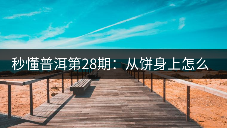 秒懂普洱第28期：從餅身上怎么辨識干倉與濕倉 普洱茶？