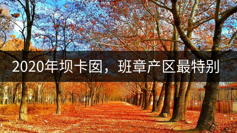 2020年壩卡囡，班章產(chǎn)區(qū)最特別的茶 -易武中聘號(hào)