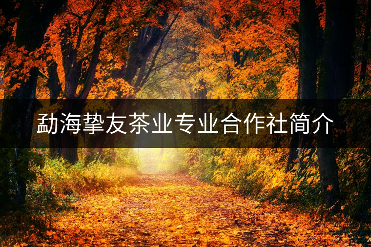 勐海摯友茶業(yè)專業(yè)合作社簡介