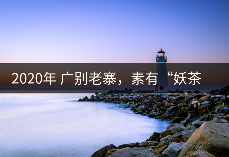 2020年 廣別老寨，素有“妖茶”之稱-易武中聘號(hào)