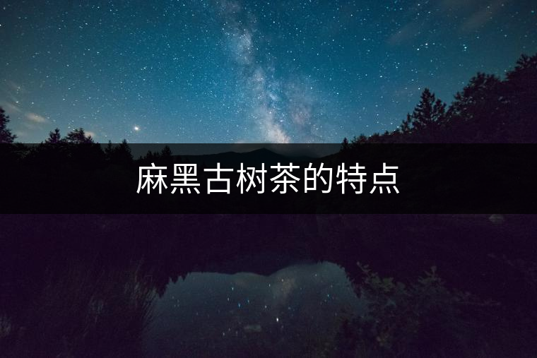 麻黑古樹(shù)茶的特點(diǎn) 麻黑古樹(shù)茶的特點(diǎn)