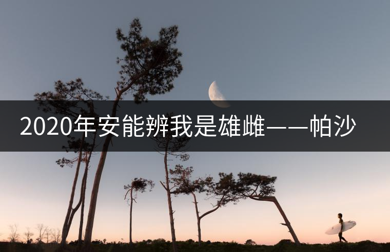 2020年安能辨我是雄雌——帕沙古樹茶-易武中聘號(hào) 2020年安能辨我是雄雌——帕沙古樹茶-易武中聘號(hào)