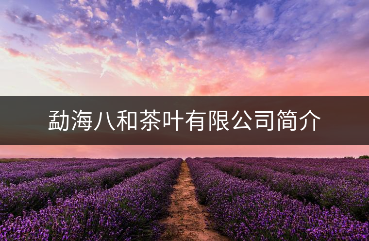 勐海八和茶葉有限公司簡(jiǎn)介 勐海八和茶葉有限公司簡(jiǎn)介