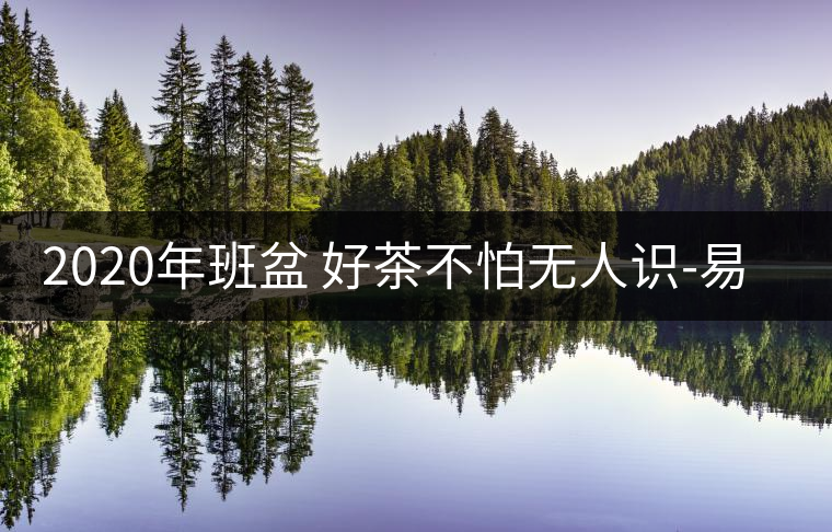 2020年班盆 好茶不怕無人識-易武中聘號