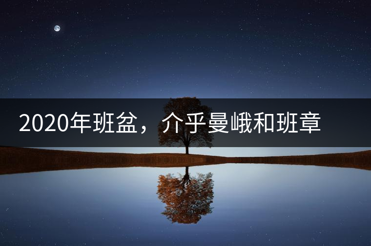 2020年班盆，介乎曼峨和班章間的“老漢子”-易武中聘號(hào)