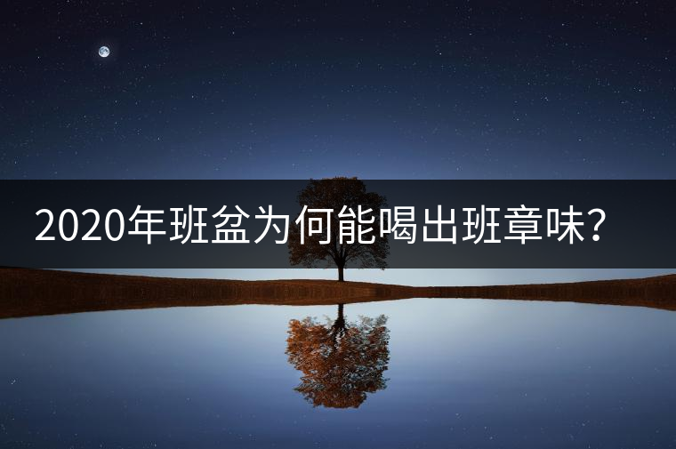 2020年班盆為何能喝出班章味？-易武中聘號(hào)