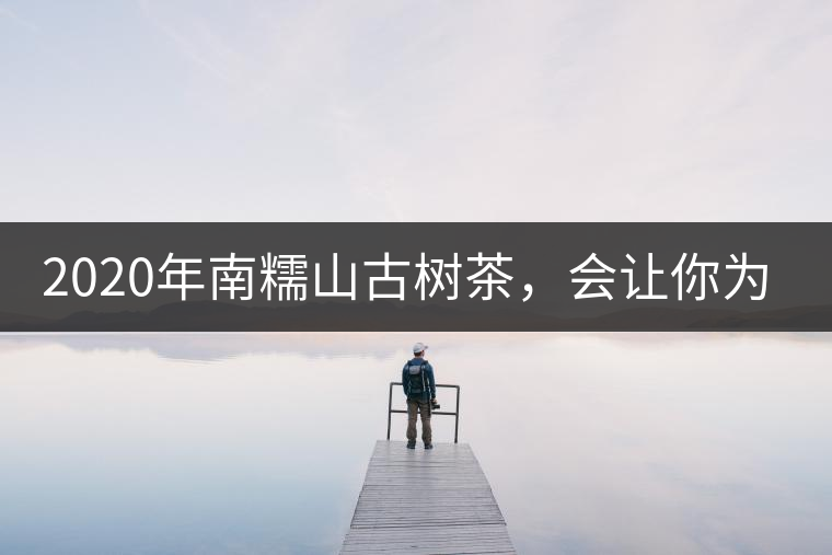 2020年南糯山古樹茶，會(huì)讓你為之著迷-易武中聘號