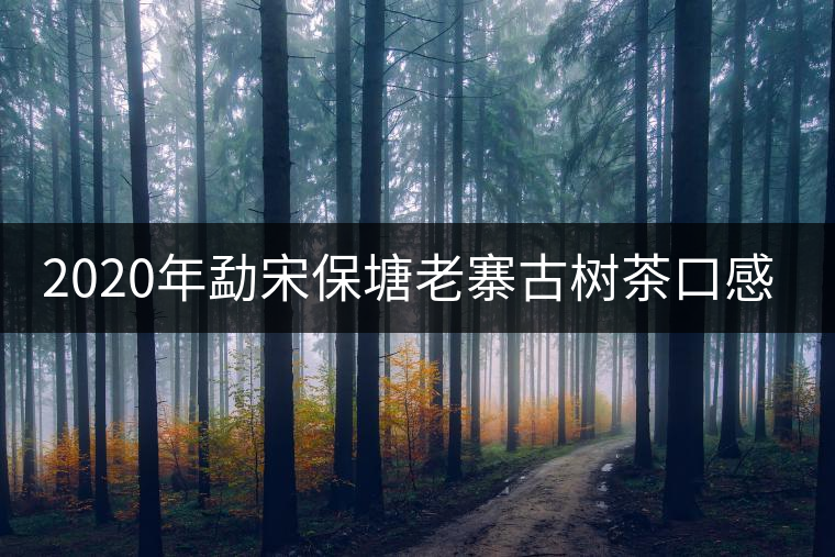2020年勐宋保塘老寨古樹茶口感-易武中聘號 2020年勐宋保塘老寨古樹茶口感-易武中聘號