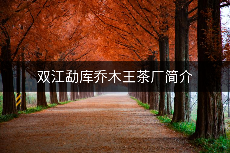 雙江勐庫(kù)喬木王茶廠簡(jiǎn)介