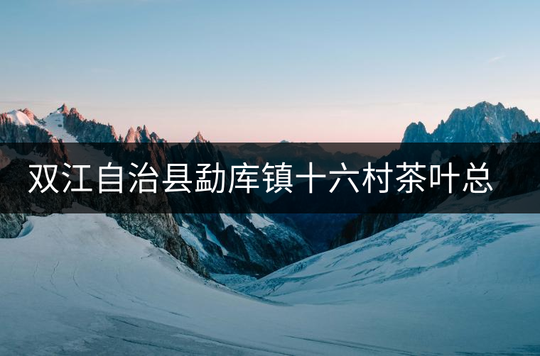 雙江自治縣勐庫鎮(zhèn)十六村茶葉總匯元夢(mèng)茶廠簡(jiǎn)介