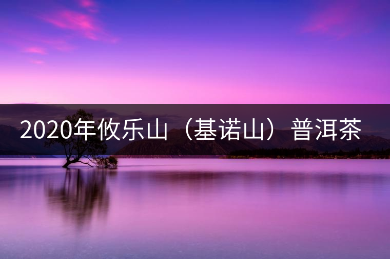 2020年攸樂山(基諾山)普洱茶的特點(diǎn) -易武中聘號(hào) 2020年攸樂山(基諾山)普洱茶的特點(diǎn) -易武中聘號(hào)