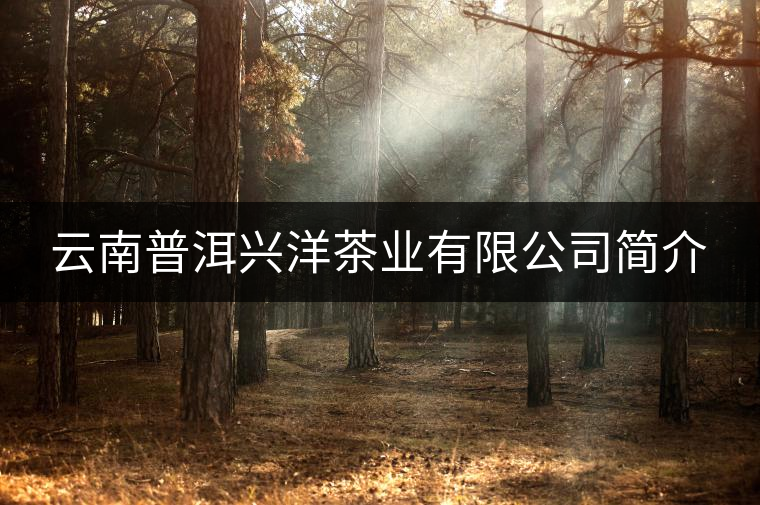 云南普洱興洋茶業(yè)有限公司簡介