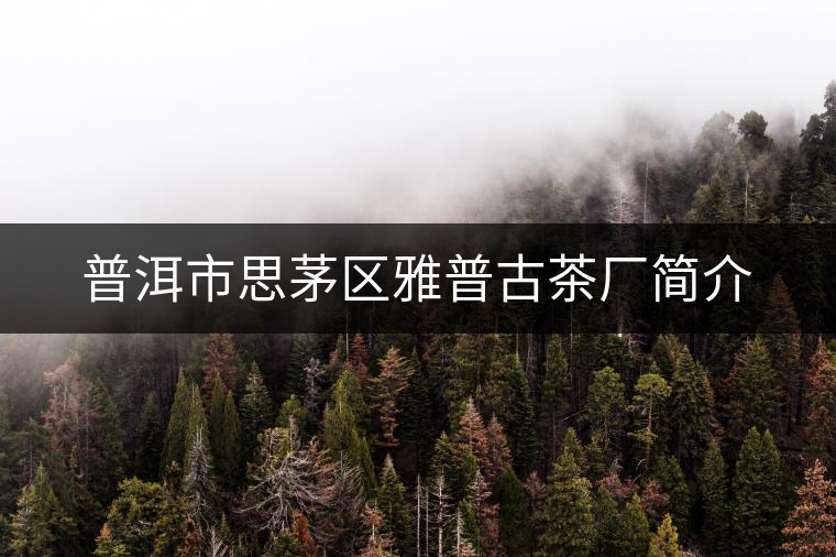 普洱市思茅區(qū)雅普古茶廠簡(jiǎn)介