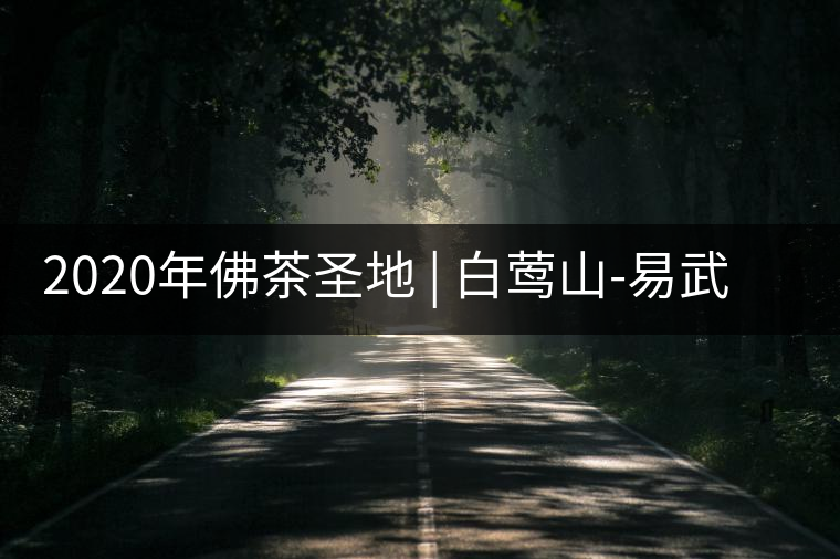 2020年佛茶圣地 | 白鶯山-易武中聘號 2020年佛茶圣地 | 白鶯山-易武中聘號