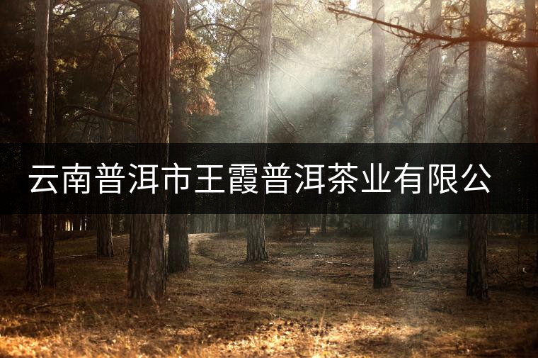 云南普洱市王霞普洱茶業(yè)有限公司簡(jiǎn)介