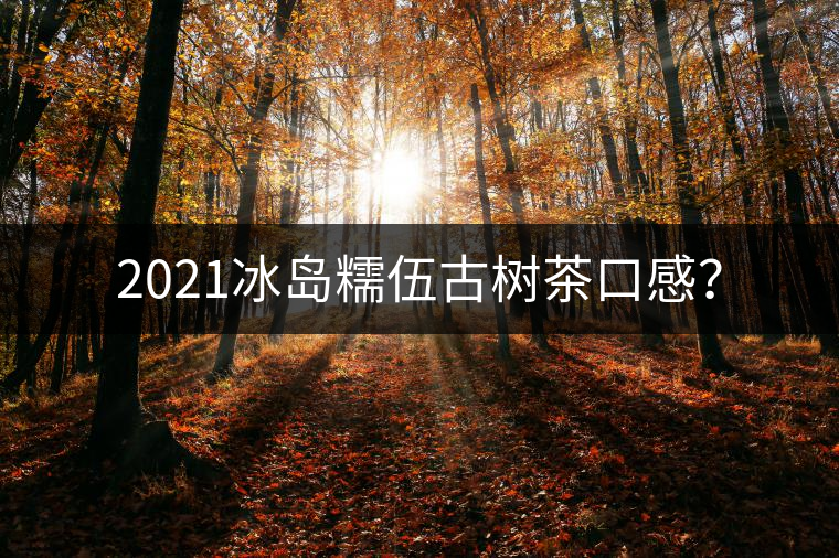 2021冰島糯伍古樹茶口感？