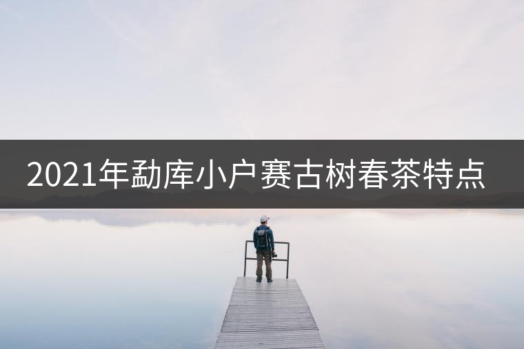 2021年勐庫(kù)小戶賽古樹春茶特點(diǎn)？