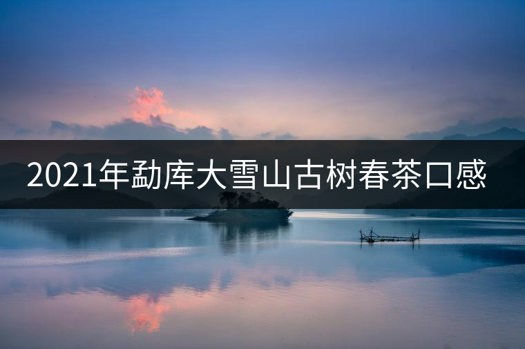 2021年勐庫大雪山古樹春茶口感特點？