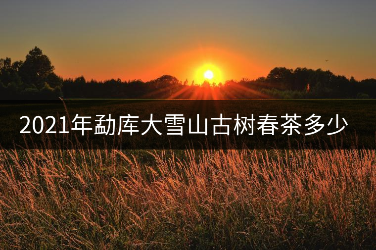 2021年勐庫大雪山古樹春茶多少錢一公斤？