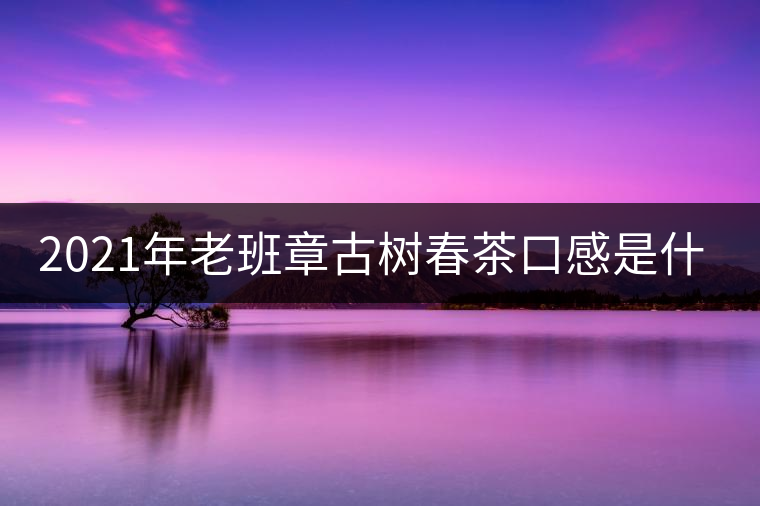 2021年老班章古樹春茶口感是什么？