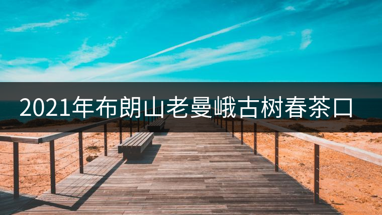 2021年布朗山老曼峨古樹春茶口感特點(diǎn)？