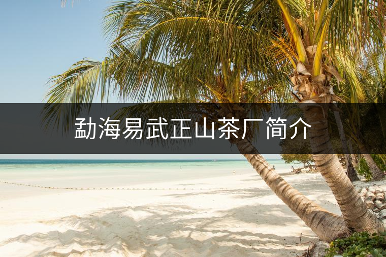 勐海易武正山茶廠簡介 勐海易武正山茶廠簡介