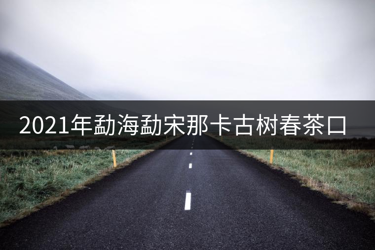 2021年勐海勐宋那卡古樹春茶口感？
