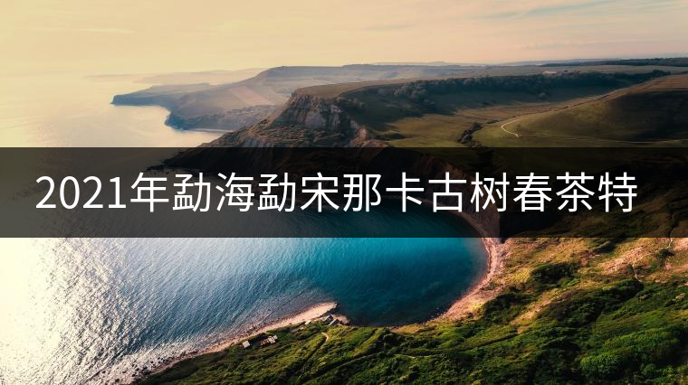 2021年勐海勐宋那卡古樹春茶特點? 2021年勐海勐宋那卡古樹春茶特點?