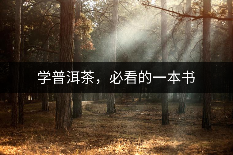 學(xué)普洱茶，必看的一本書