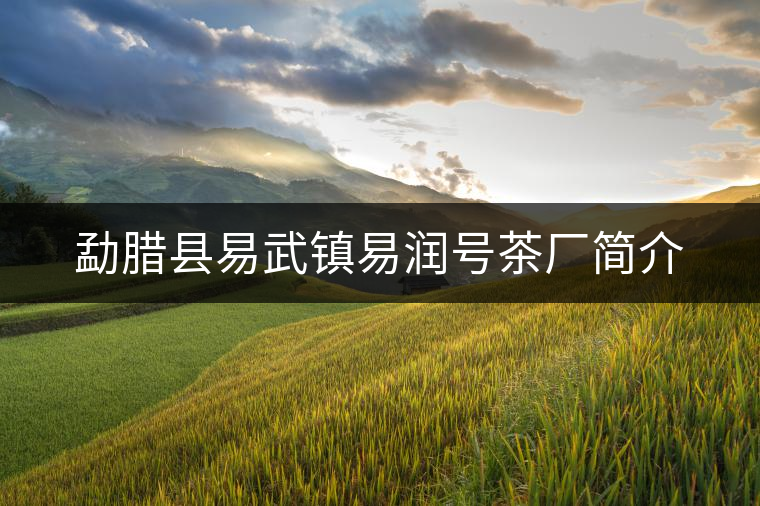 勐臘縣易武鎮(zhèn)易潤(rùn)號(hào)茶廠簡(jiǎn)介