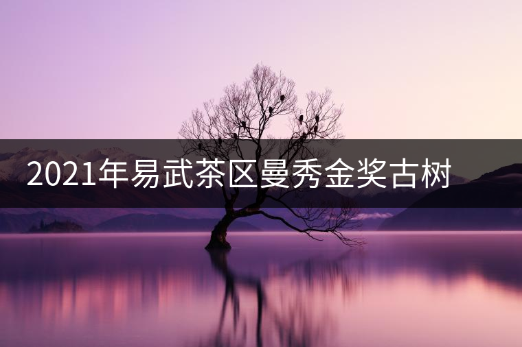 2021年易武茶區(qū)曼秀金獎(jiǎng)古樹(shù)茶春茶口感特點(diǎn)