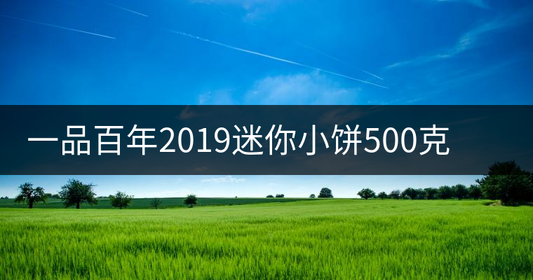 一品百年2019迷你小餅500克古樹生茶品質(zhì)好不好? 一品百年2019迷你小餅500克古樹生茶品質(zhì)好不好?