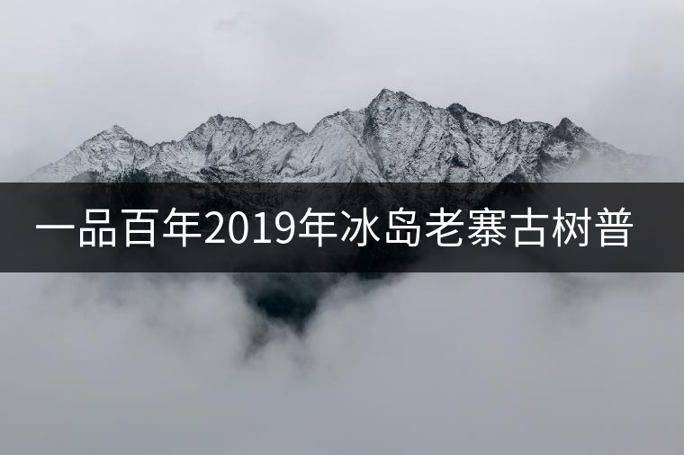 一品百年2019年冰島老寨古樹普洱茶生茶好喝嗎？