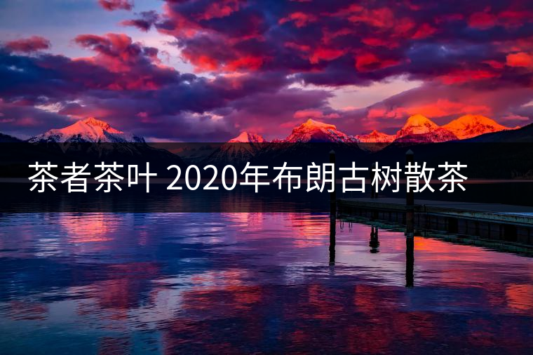 茶者茶葉 2020年布朗古樹散茶  性價(jià)比怎么樣？