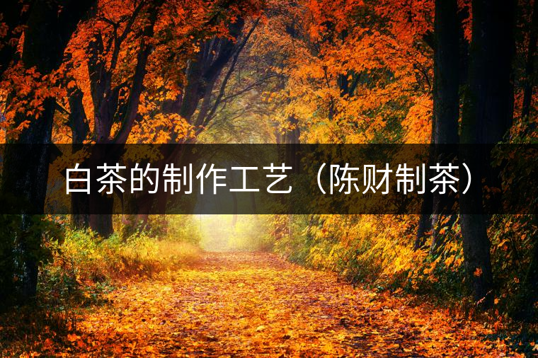 白茶的制作工藝（陳財制茶）