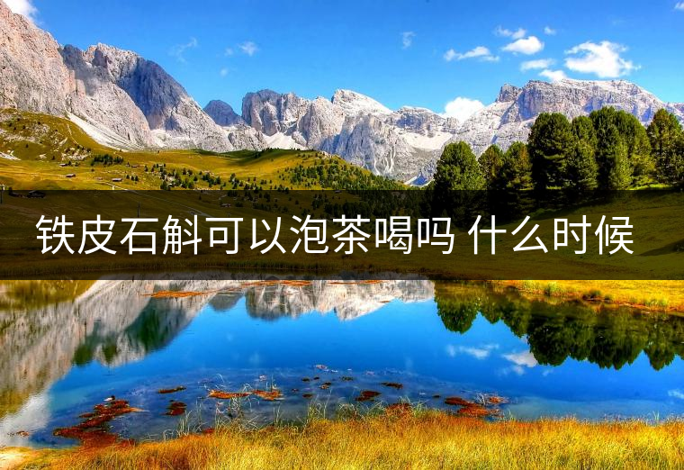 鐵皮石斛可以泡茶喝嗎 什么時候喝好