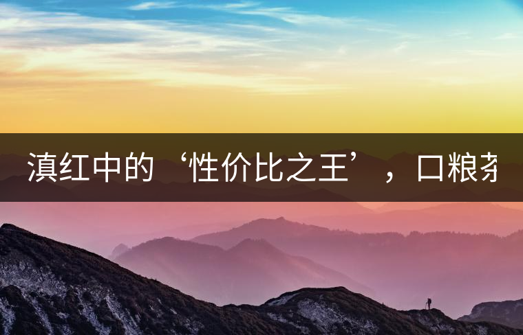 滇紅中的‘性價比之王’，口糧茶首選！