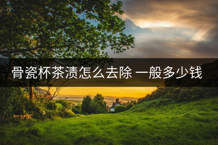 骨瓷杯茶漬怎么去除 一般多少錢一個 骨瓷杯茶漬怎么去除 一般多少錢一個