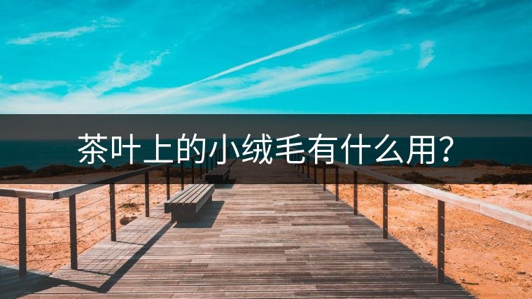 茶葉上的小絨毛有什么用？