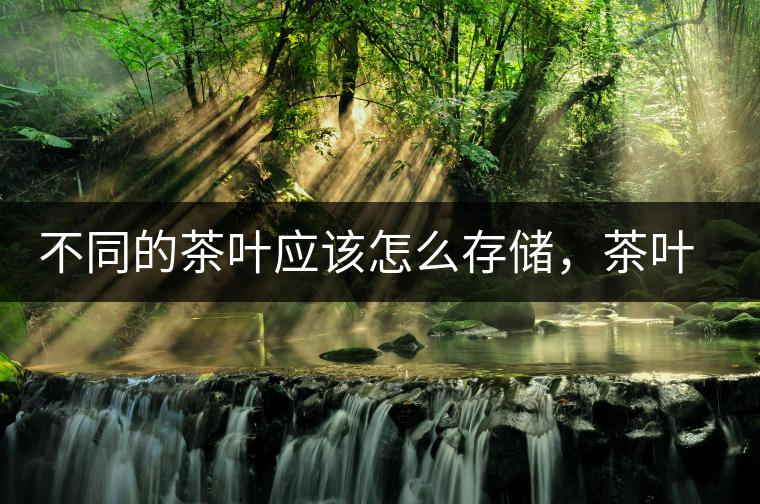 不同的茶葉應該怎么存儲，茶葉罐又該如何選擇？